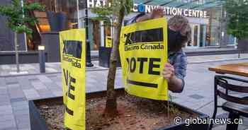 Maverick Party planning to up its game after poor election results