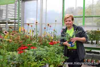 Nu de maskers af mogen organiseert Tuincentrum Roegiers belevingsweekend: “Eindelijk kunnen klanten opnieuw bloemen en planten ruiken” - Het Nieuwsblad