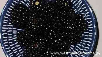 Gourmet Gardener: Hunting in hedgerows - Westmeath Examiner