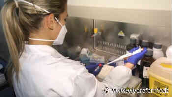 Covid: altri 57 nuovi casi, 1 in provincia di Fermo - Vivere Fermo
