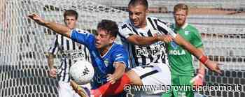 Gatto fermo ai box Il solito malanno - La Provincia di Como