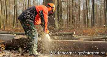 Vollsperrung zwischen Finnentrop und Altfinnentrop wegen Baumfällarbeiten • Attendorner Geschichten - Attendorn News - Attendorner Geschichten