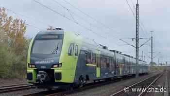 Am Donnerstagabend: Nordbahn stößt mit Reh zusammen – Bahnstrecke bei Tornesch nachts gesperrt | shz.de - shz.de