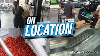 Native Hawaii fern that was feared extinct is found alive