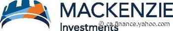 Canadians Rally Around Mackenzie Investments Interactive 'Money Tree' to Raise $100,000 for Charity - Yahoo Canada Finance