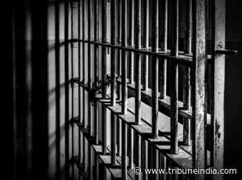 Indian-American ex-IT executive pleads guilty to insider trading - The Tribune India