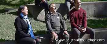 Des arbres au lieu des stationnements
