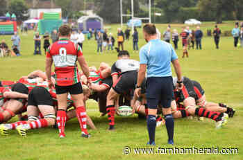Last-gasp agony for Alton Silverbacks on derby day - Farnham Herald