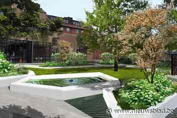 Binnentuin stadhuis krijgt make-over: trouwen kan straks in idyllisch kader - Het Nieuwsblad