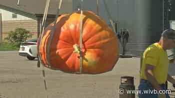Great Pumpkin Farm weigh-off winner crowned