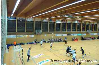 Handball-Verbandsliga - Hegensberg/Liebersbronn dominiert Reichenbach - esslinger-zeitung.de