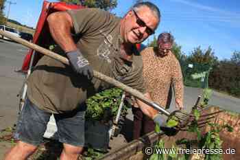 Andrang auf Wertstoffhof - Freie Presse
