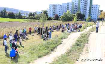 Kernener Nachwuchs aus dem Jahr 2020 jetzt auf Geburtentafeln verewigt - Zeitungsverlag Waiblingen