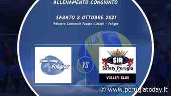 Serie B, per la Intervolley Foligno test con la Sir Safety Monini Perugia - PerugiaToday