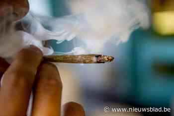 Twaalf drugstoeristen krijgen proces-verbaal