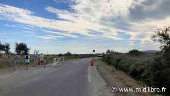 Frontignan : le chemin des Près Saint-Martin piétonnisé le dimanche - Midi Libre