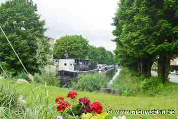 Vlaamse Waterweg blaast bomenkap aan jachthaven af: “Hopelijk is dat plan definitief van de baan”