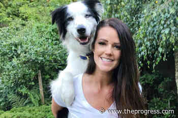 BC border collie impresses Tonight Show host with Jenga talent – Chilliwack Progress - Chilliwack Progress