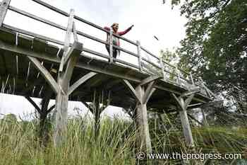 Pivotal bridge from Winnie the Pooh series to be auctioned – Chilliwack Progress - Chilliwack Progress