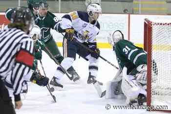 Crusaders suffer growing pains to start season - Leduc Representative