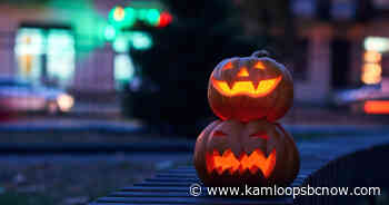 Kamloops Film Society announces October movie lineup - KamloopsBCNow