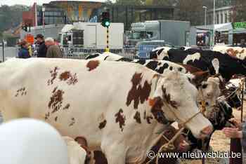 Muziek, verenigingen en dierenkampen op 90ste jaarmarkt (Boechout) - Het Nieuwsblad