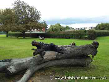 Decision to put private nursery in South Woodford park angers locals