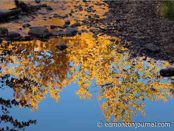 Edmonton weather: Sensitized to sunny, 16 C, thank you October