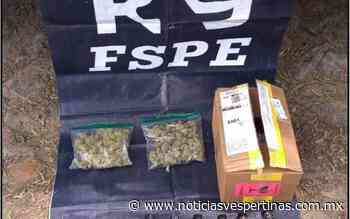 Aseguran marihuana en empresa de paquetería - Noticias Vespertinas