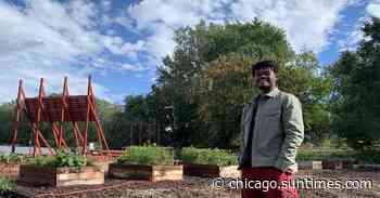 Chicago Architecture Biennial creates ‘oases’ on vacant lots on South, West sides - Chicago Sun-Times