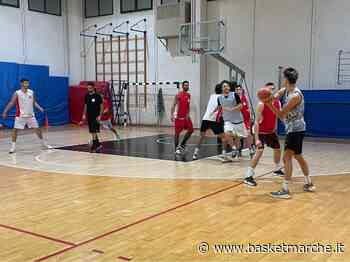 La Robur Osimo attesa dalla trasferta di Matelica. Pronti all'esordio gli argentini - - Basketmarche.it