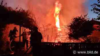 Riesa: Frauen (33, 24) fackeln Gartenlaube ab - BILD