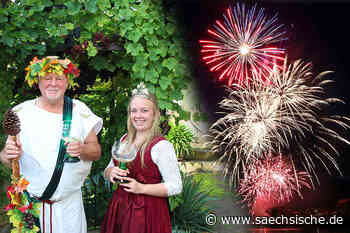 Riesa: Federweißermeile - Nächstes Jahr wieder normal und mit Feuerwerk - Sächsische.de