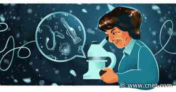 Google Doodle celebrates marine biologist María de los Ángeles Alvariño González     - CNET