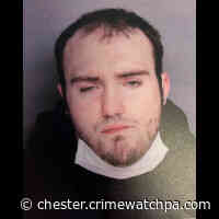 ARREST: Losey, Dillon - 1 Count Retail Theft (M1) 1 Count Retail Theft Destruction of - Chester County | CRIMEWATCH PA