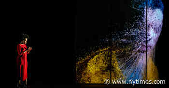 Review: In ‘Upload,’ Do Blockchains Dream of Electric Lizards?