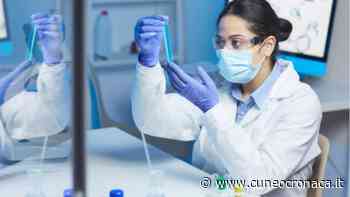Covid, Piemonte: +169 positivi (19 Cuneo) pari allo 0,7% dei tamponi, +186 guariti (18 in Granda) - Cuneocronaca.it