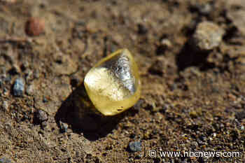 Finders Keepers: Woman finds 4 carat yellow diamond in national park