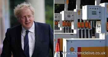 Food and fuel shortages to last until Christmas, Prime Minister admits - Chronicle Live