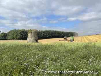 Cheap food isn't sustainable for the future of UK farming - The Scottish Farmer