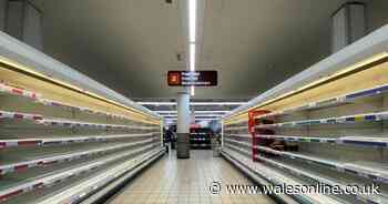 Everything being hit by shortages - from fuel and food to toys and bikes - Wales Online