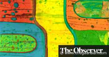 Food dye as paint, hair as a brush: how a lifer found an escape in art - The Guardian
