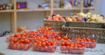 New food scheme starts on Meadow Well to help families living on the breadline - Chronicle Live
