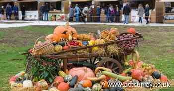 RHS Garden Wisley food festival to feature live demonstrations on panoramic rooftop bar - Surrey Live