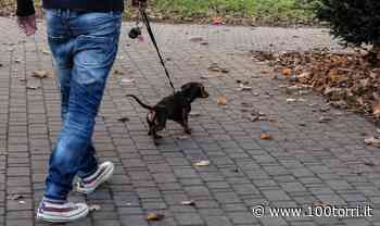 A Riva presso Chieri una giornata su Indifferenza esche e bocconi avvelenati - CentoTorri