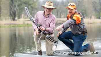 NSW government to permit bowfishers to target carp - Daily Liberal