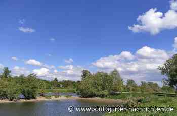 Buga 23 in Mannheim - Der Neckar wird für die Bundesgartenschau wieder belebt - Stuttgarter Nachrichten