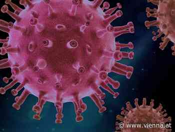 Wiener Physiker präsentieren System für besseres Pandemie-Management - VIENNA.AT
