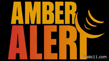 AMBER Alert issued for missing Polk County 11-year-old girl