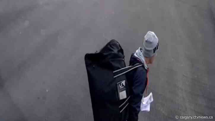 RCMP investigating a theft in Conrich, which was captured on camera